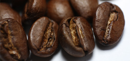 コーヒーで髪の毛を染めれるそうなので実際に友達で試してみた
