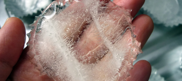 氷が無い！そんな時たった30分で氷を作る方法！【写真有】