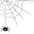 蜘蛛の夢占いの記事のトップ画像