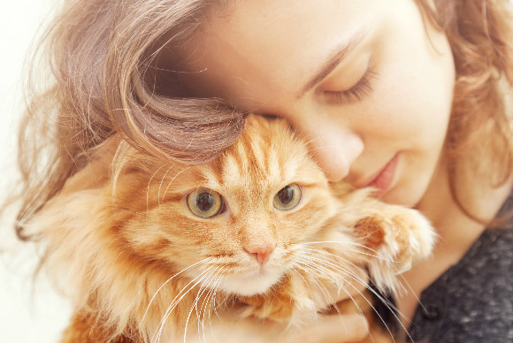 ペットの癒し効果とは…動物は疲れた心を癒してくれる！ ｜ 女性の美学