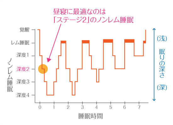 時間 昼寝 最適