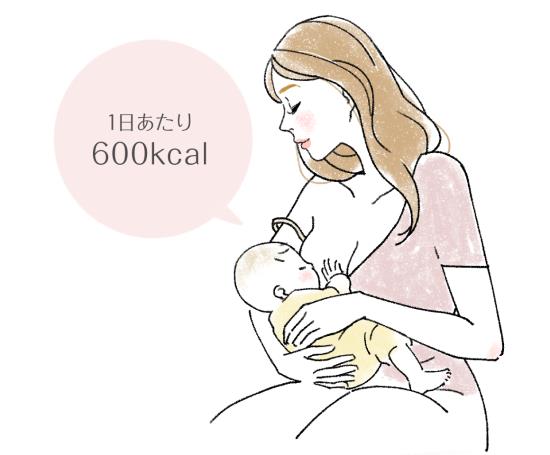 母乳の消費カロリー