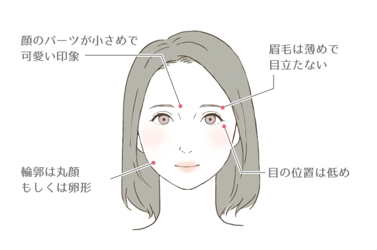 女顔×薄顔さんの特徴
